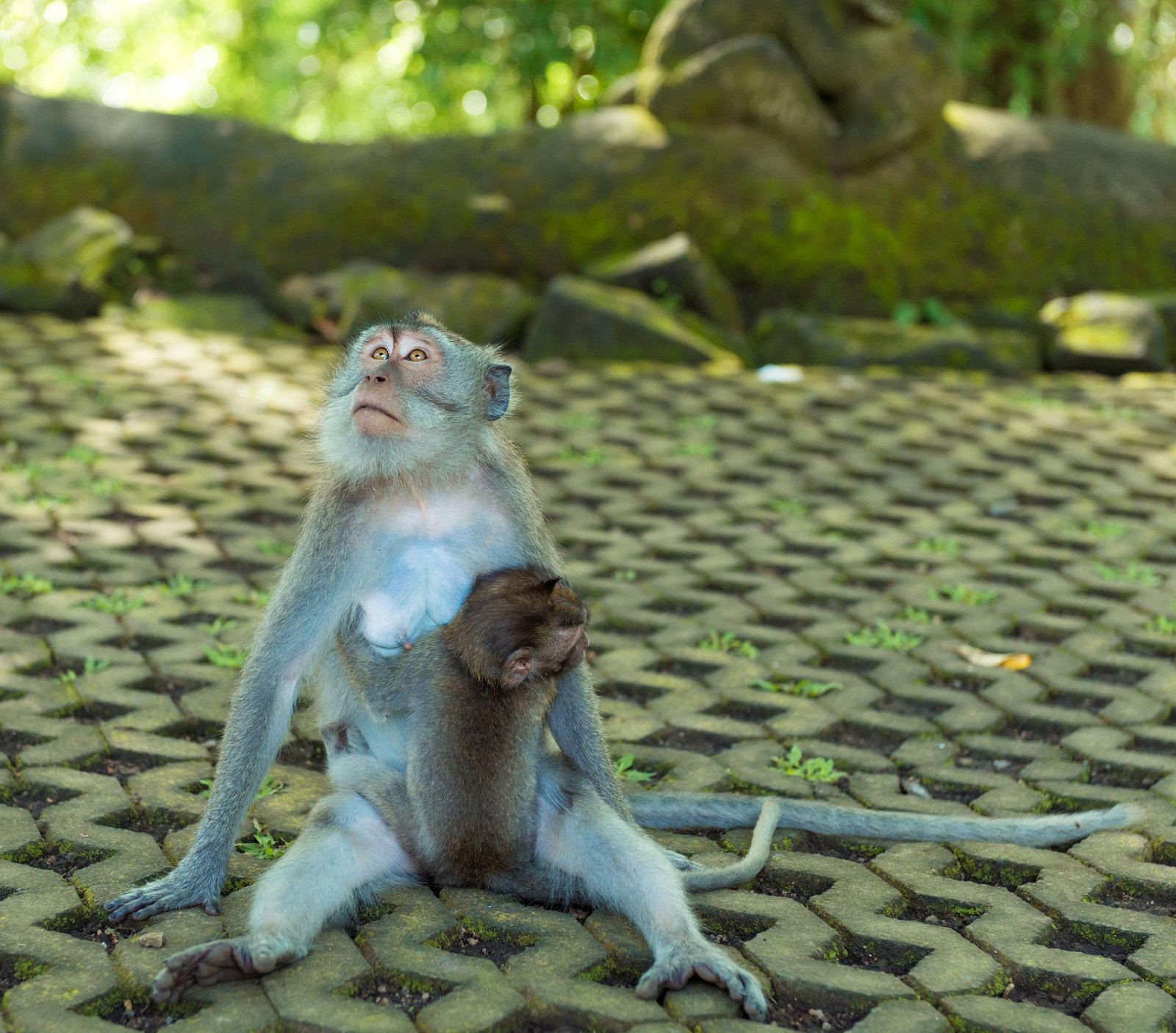 Bali travel itinerary