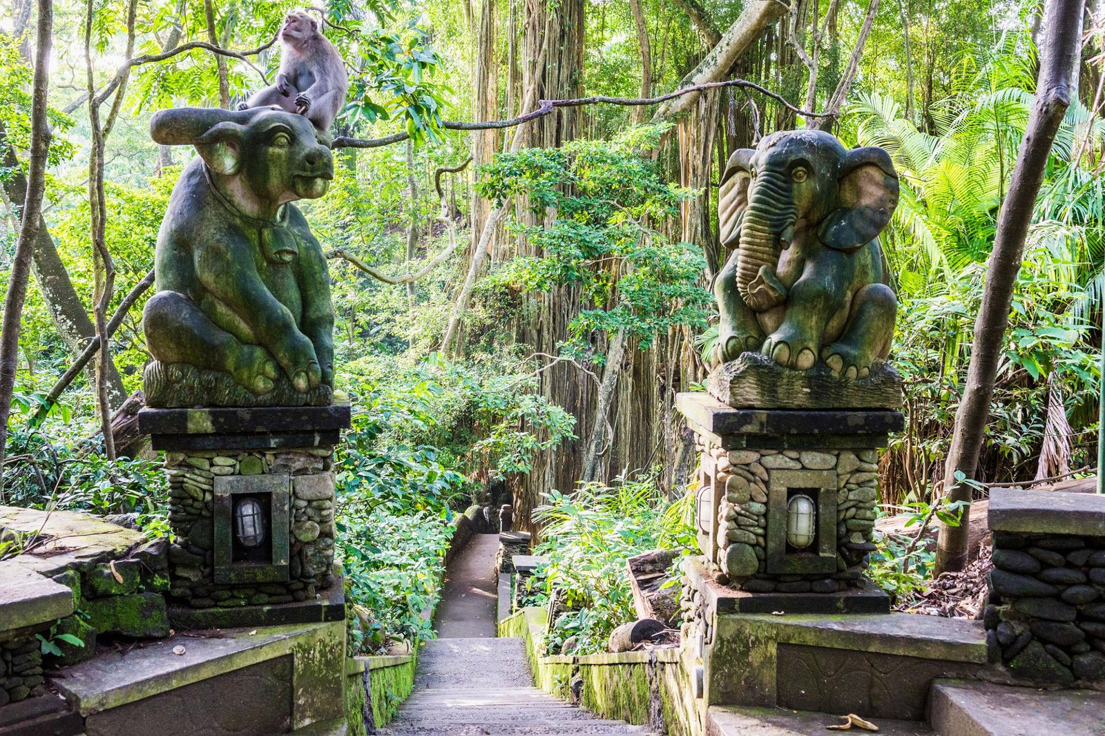 Ubud where to go