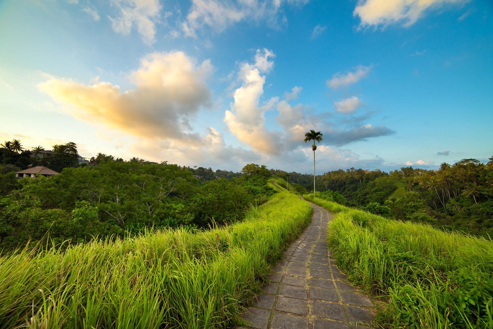 Bali Tourist Destination