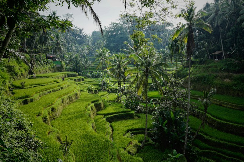 Bali Instagram Tour